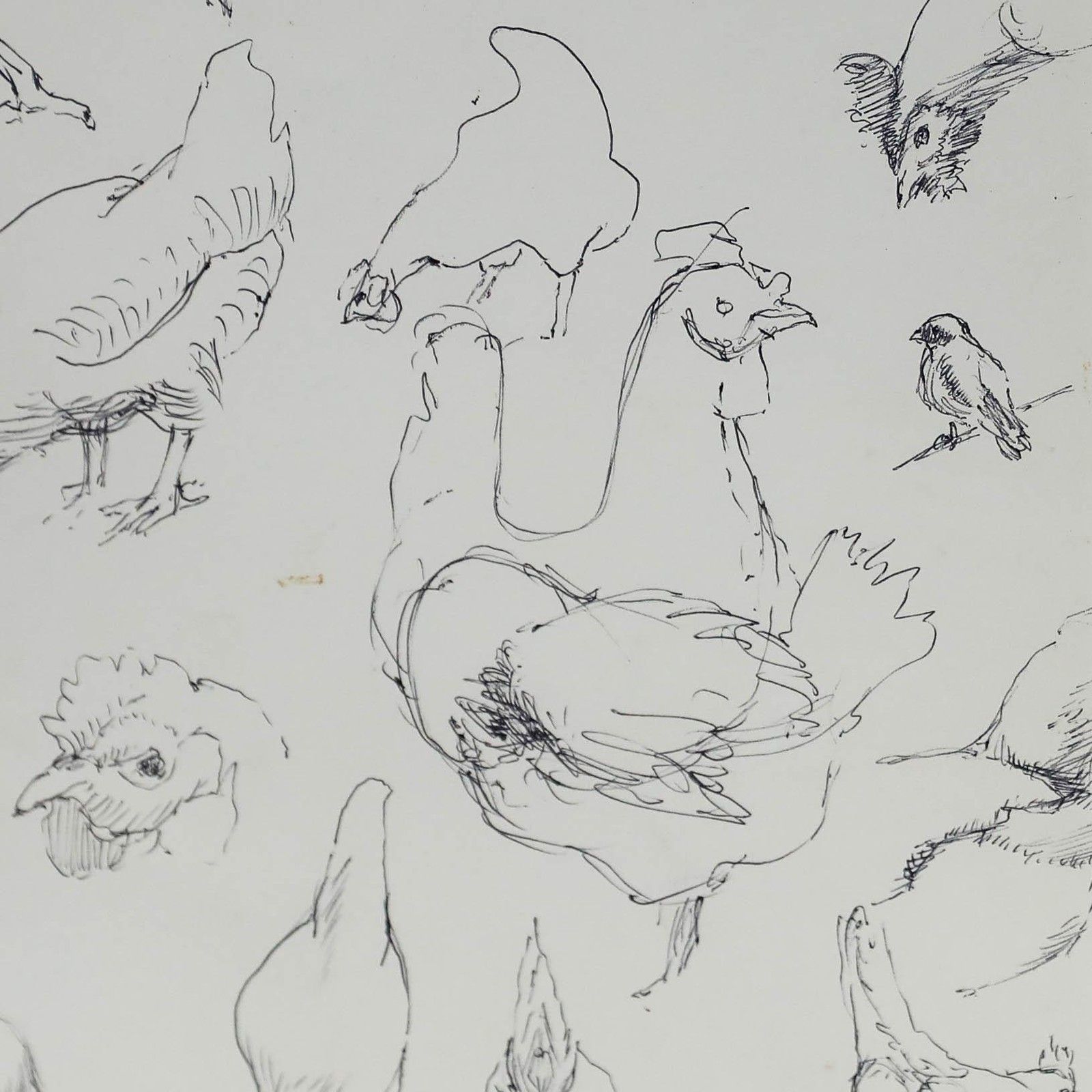 Leslie Charles Boyce (1892 1989) Pen And Ink Drawing, Chicken Studies photo Art