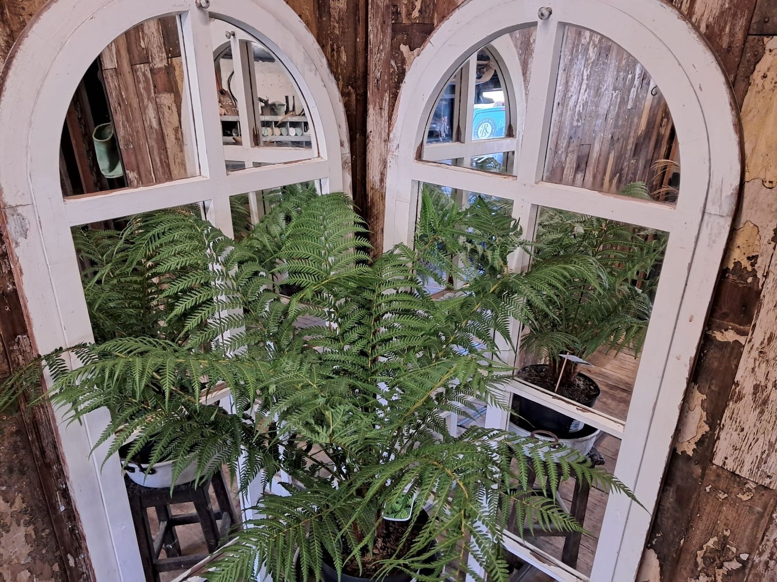 photo for sale Arch Top Mirrored Windowr No20