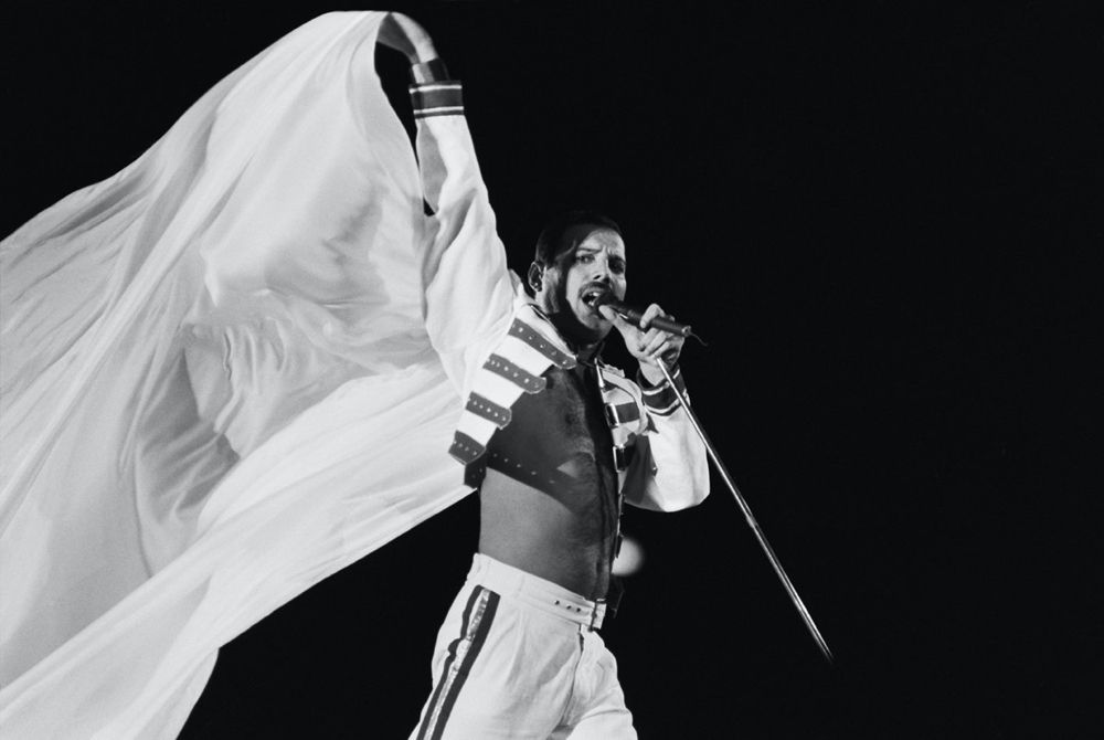 Dave Hogan 'Freddie Flies The Flag'