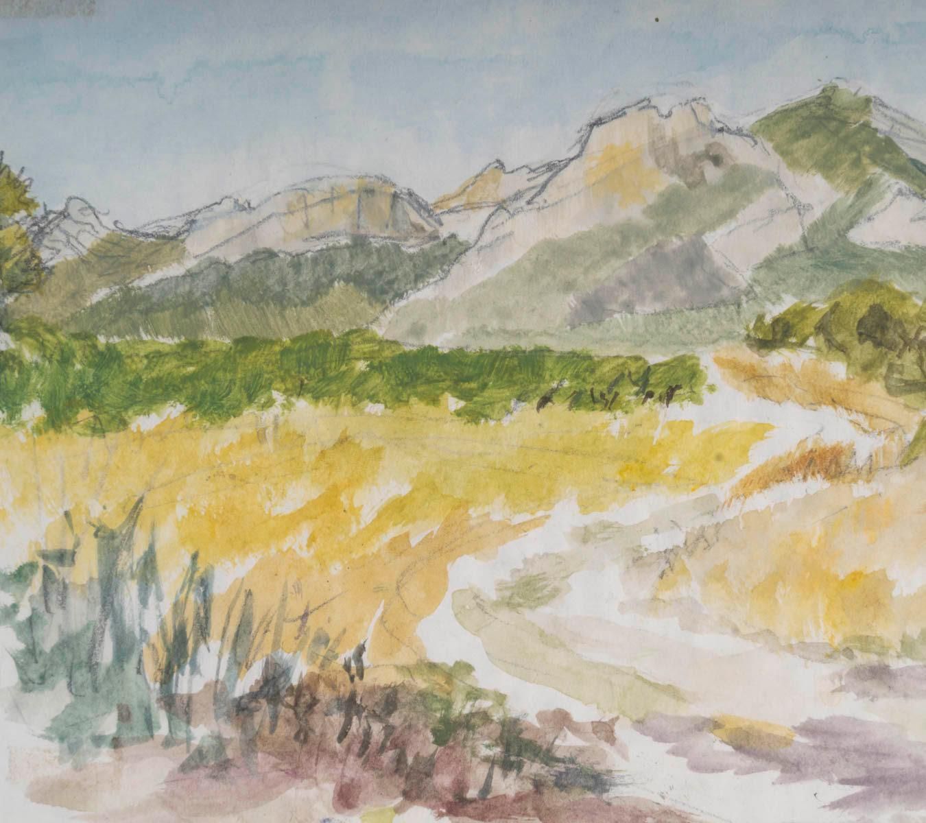 Watercolour On Paper By Evelyne Luez, Framed Under Glass. photo buy