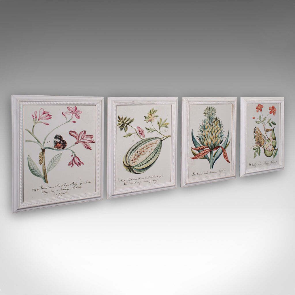 4 Vintage Botanical Pictures, Framed Print, Plant Illustrations, Natural Art