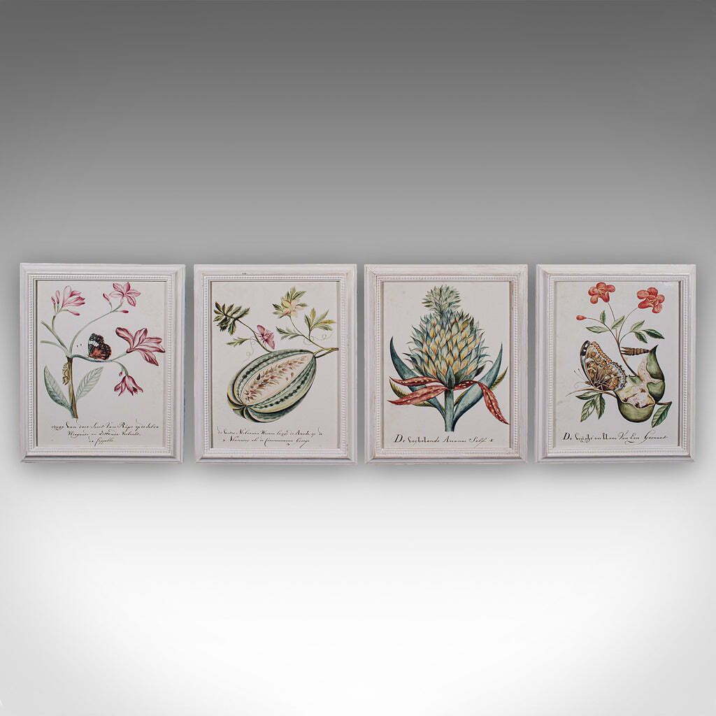 4 Vintage Botanical Pictures, Framed Print, Plant Illustrations, Natural Art photo furniture
