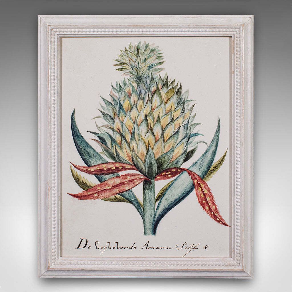 4 Vintage Botanical Pictures, Framed Print, Plant Illustrations, Natural Art photo vinterior