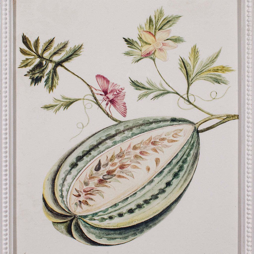 photo furniture 4 Vintage Botanical Pictures, Framed Print, Plant Illustrations, Natural Art