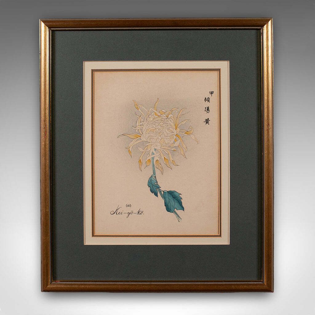 3 Vintage Botanical Pictures, Japanese, Woodblock Print, After Hasegawa, Art photo for sale