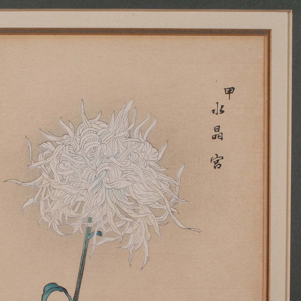 photo for sale 3 Vintage Botanical Pictures, Japanese, Woodblock Print, After Hasegawa, Art