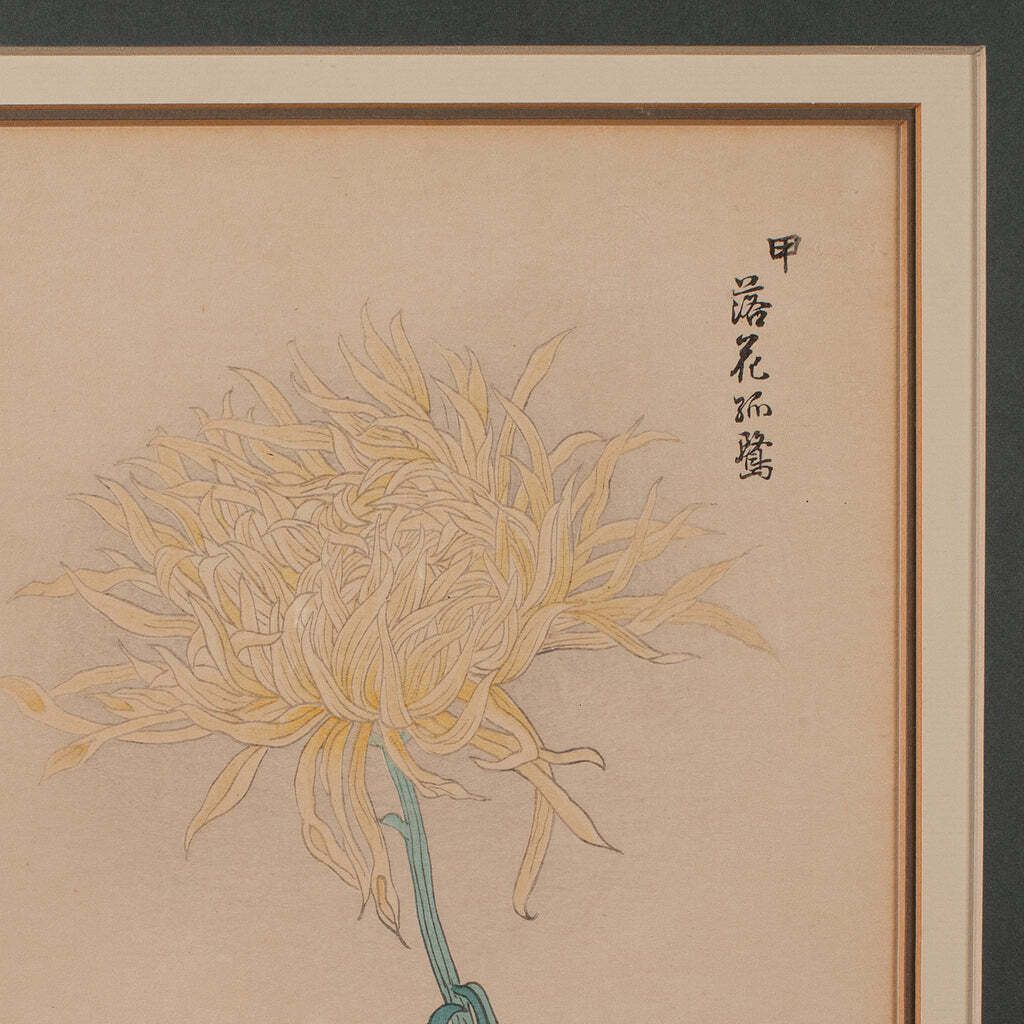 Art 3 Vintage Botanical Pictures, Japanese, Woodblock Print, After Hasegawa, Art photo