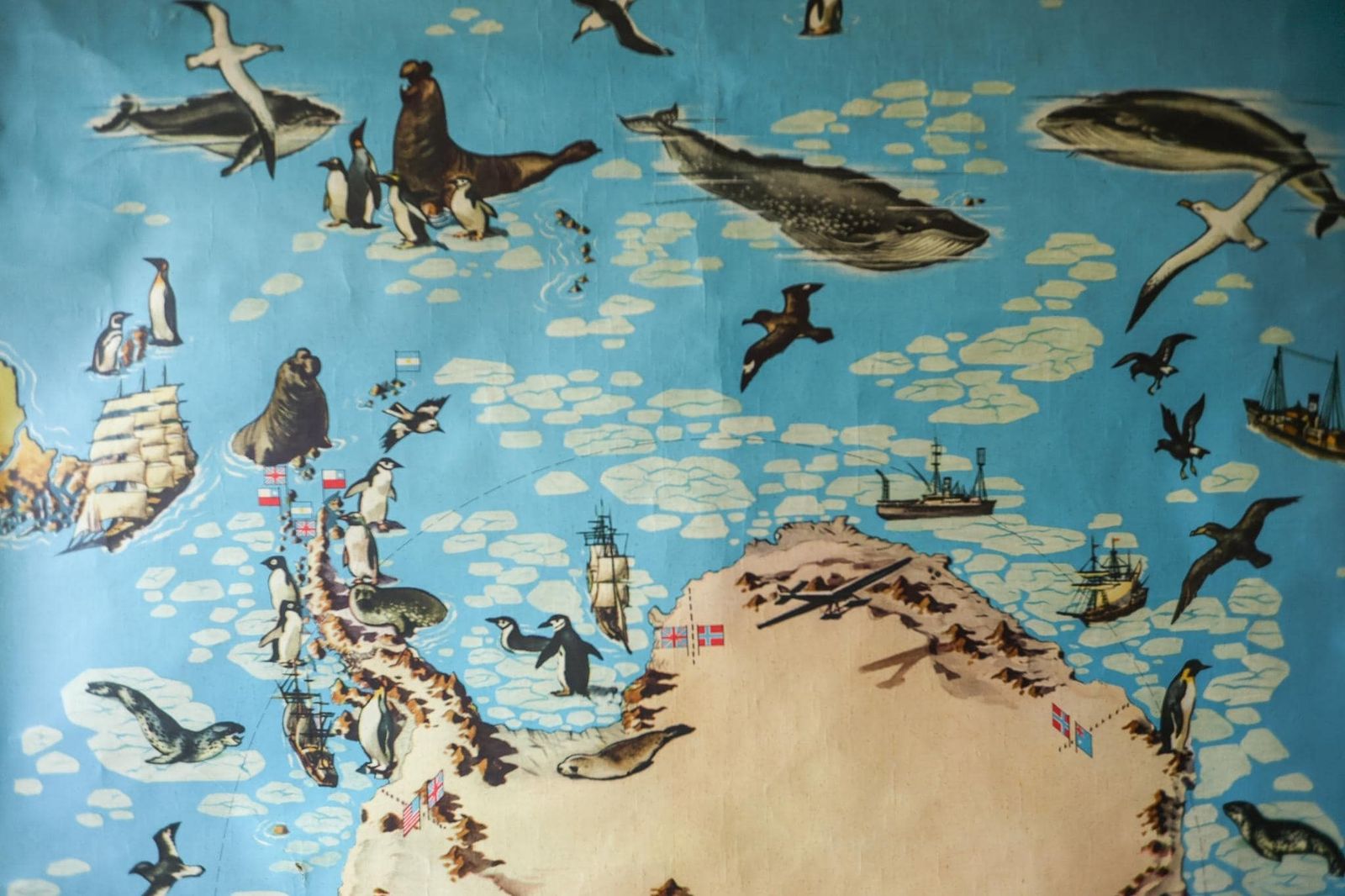 Large Original Vintage Mid Century German Educational School Wall Chart South Pole Antarctica Map Wildlife Quirky Geography Rare Westermann photo furniture