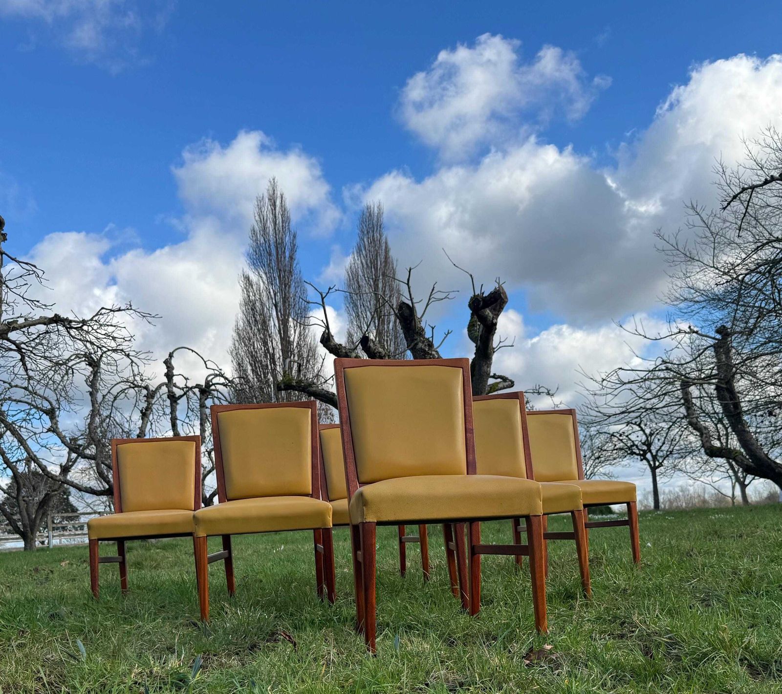 Mid Century Mahogany Set Of Eight Dining Chairs By Marin Hall For Gordon Russell 1970 photo vinterior