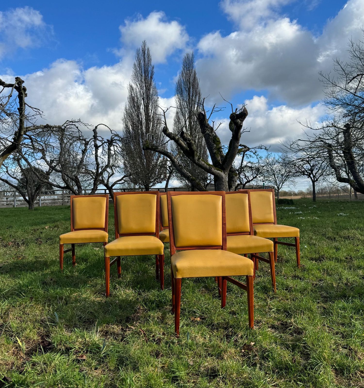850.0 Mid Century Mahogany Set Of Eight Dining Chairs By Marin Hall For Gordon Russell 1970 photo
