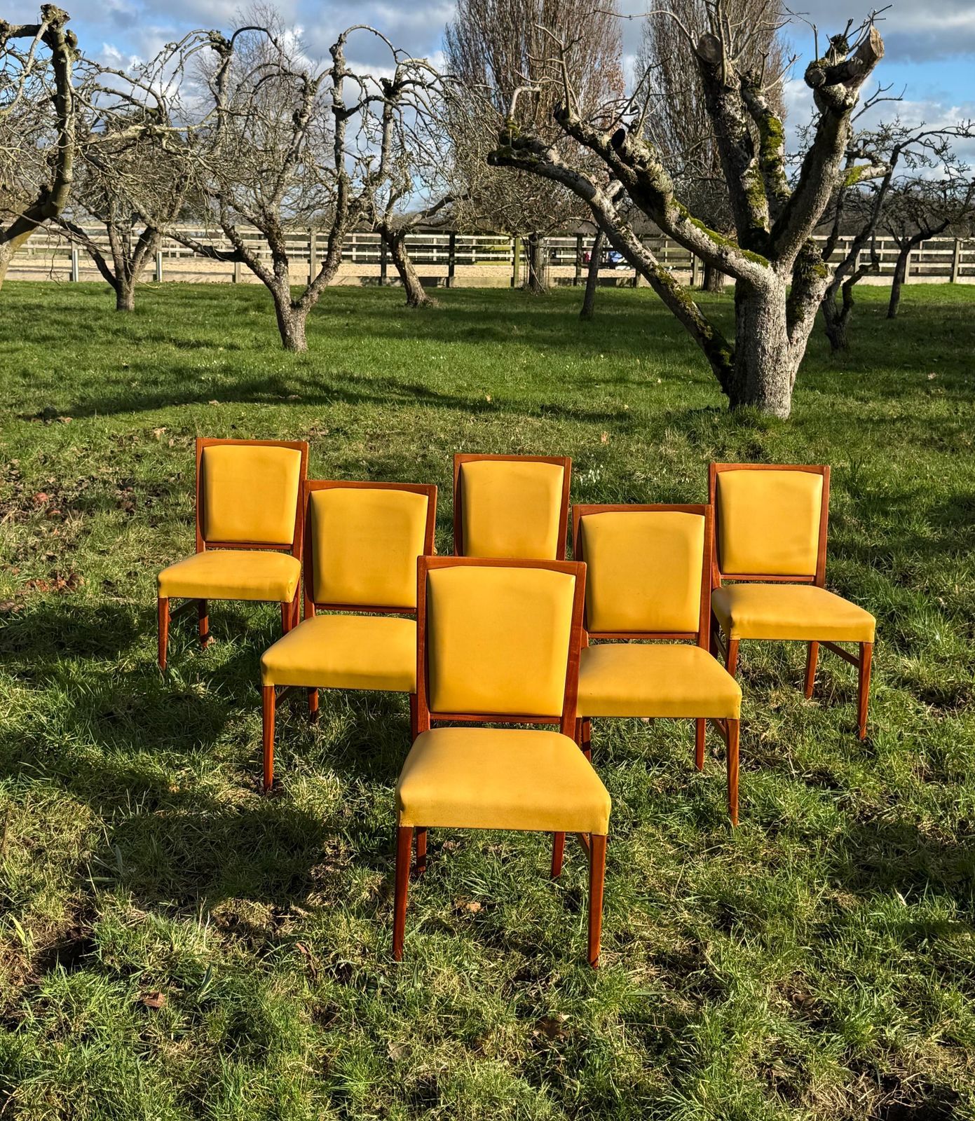 photo vintage Mid Century Mahogany Set Of Eight Dining Chairs By Marin Hall For Gordon Russell 1970
