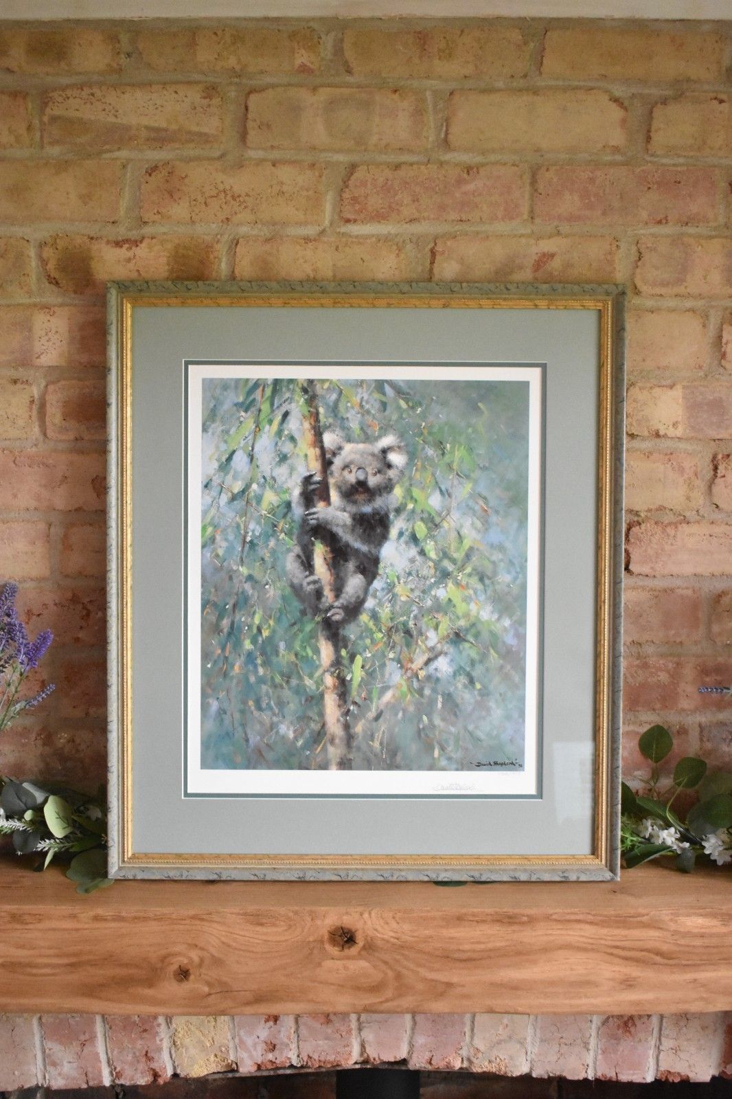 Koala By David Shepherd Large Framed Print Limited Edition Signed By Artist photo vinterior