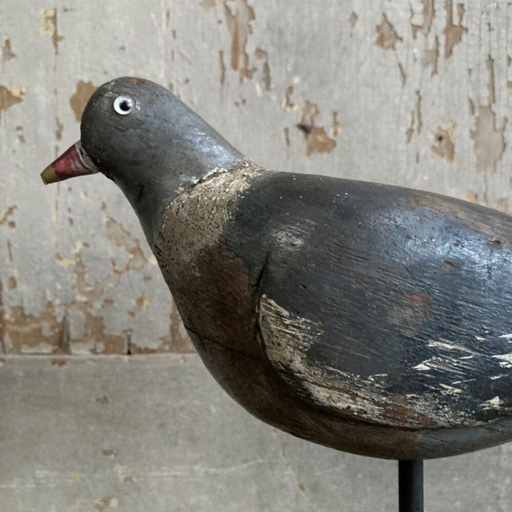 Antique Wood Pigeon Decoy   James Rolph photo vinterior