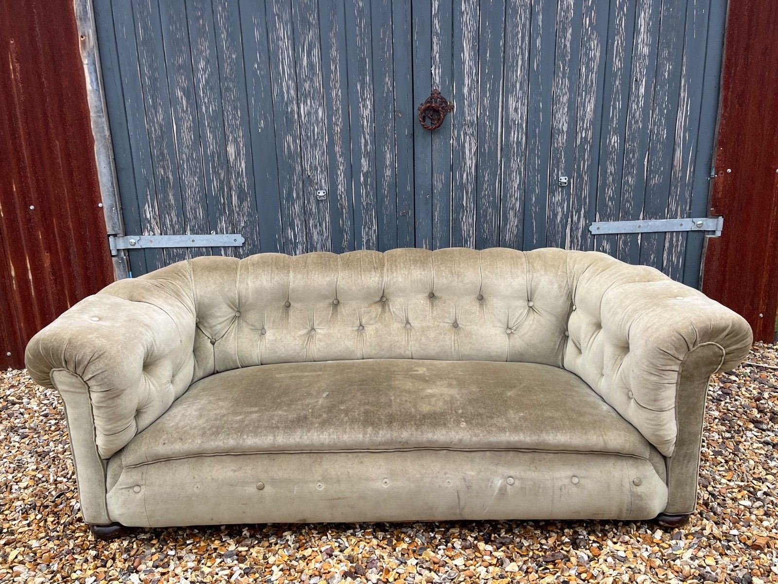 photo buy Antique Chesterfield Sofa Green Olive Coloured Velvet Circa Mid To Late 1800’s