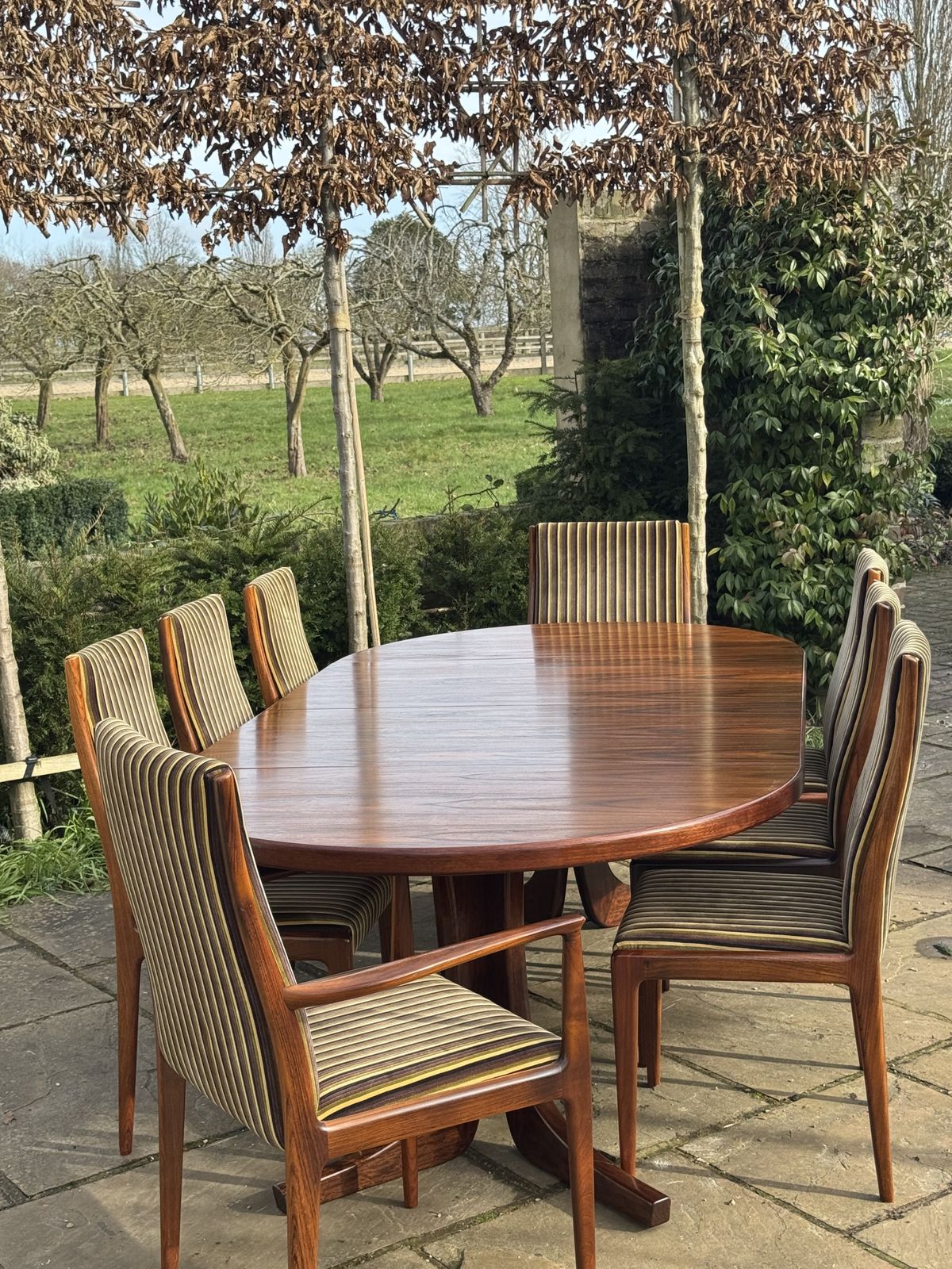 Mid Century Modern Danish Rosewood Dining Table And Eight Rosewood Chairs By Robert Heritage For Archie Shine 1970.