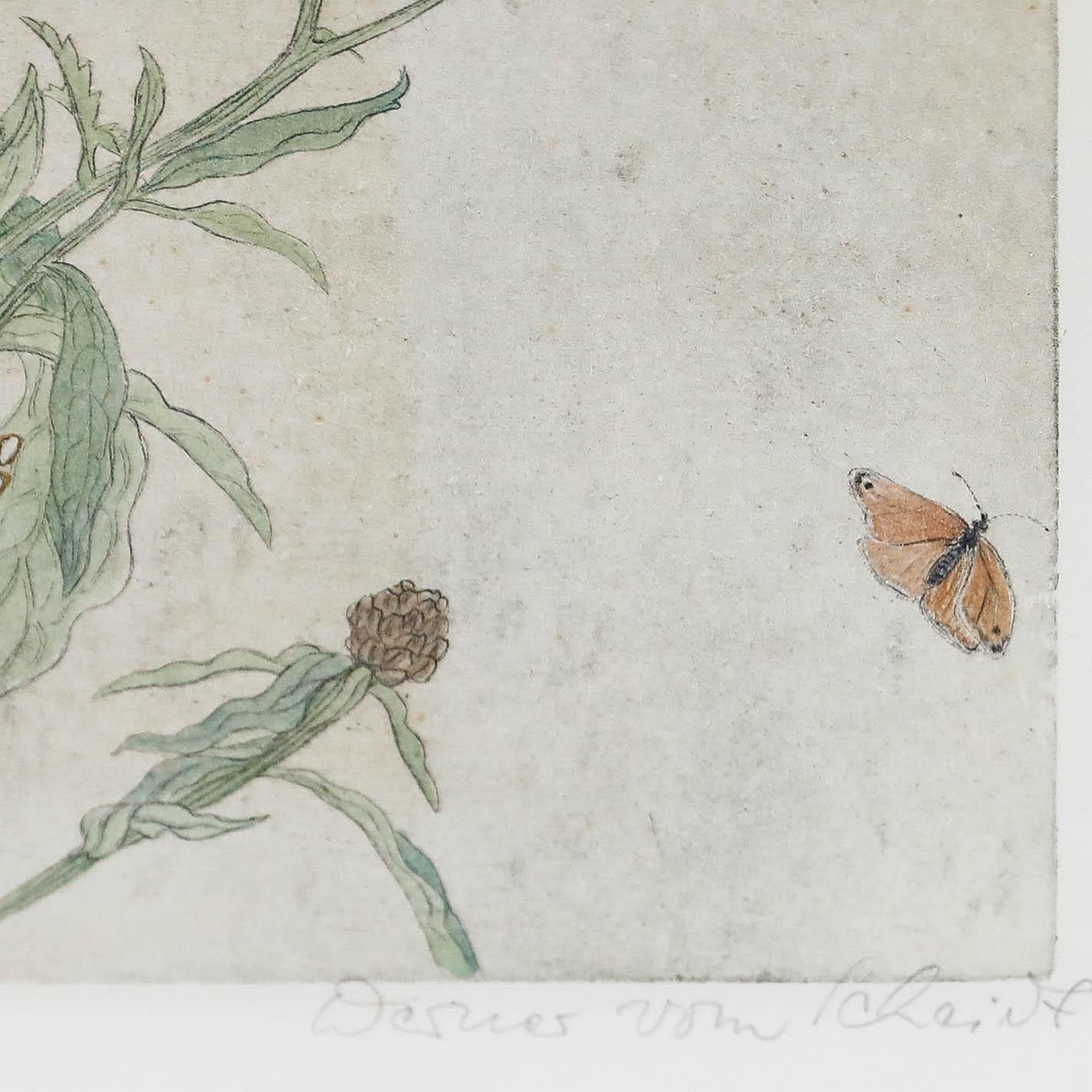Werner Von Scheidt (1894 1983) Mid 20th Century Etching, Meadow Knapweed photo vinterior
