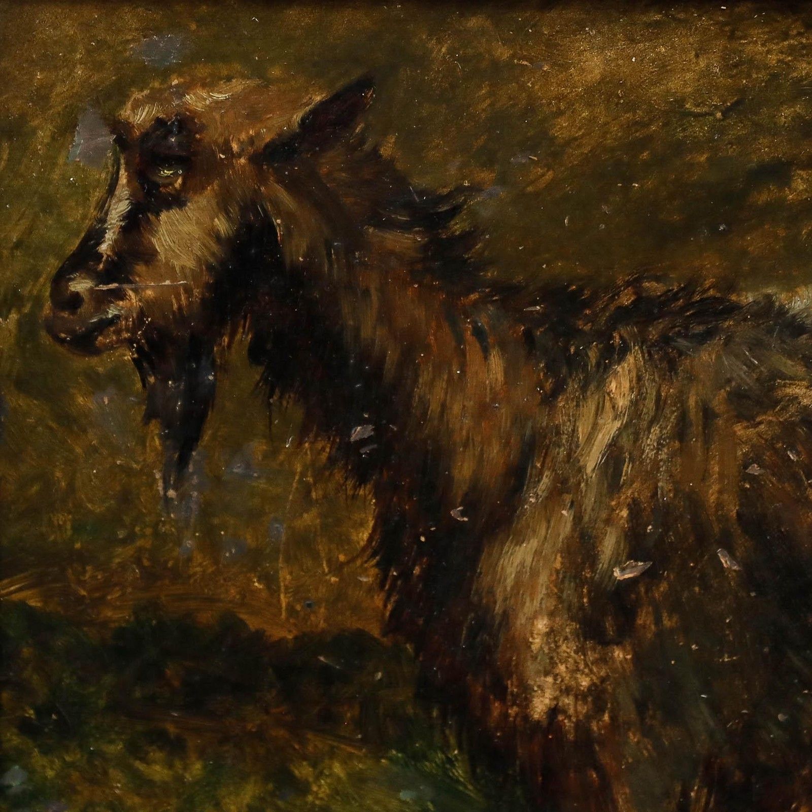 Edouard Woutermaertens (1819 1897) Mid 19th Century Oil, Goat In A Meadow photo Art