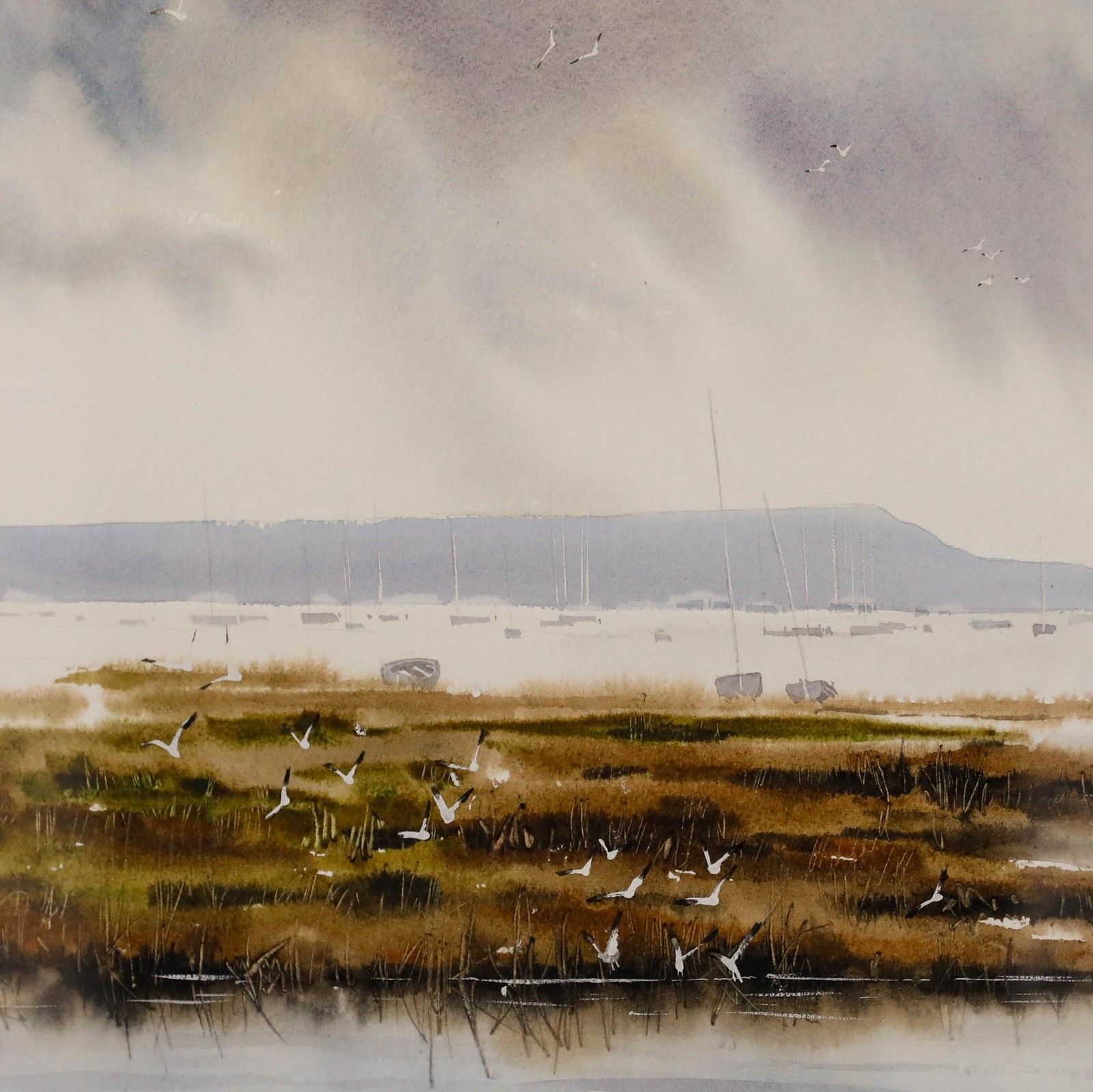 Christopher Hollick (B.1946) Framed Watercolour, Sea Birds & Boats photo Art