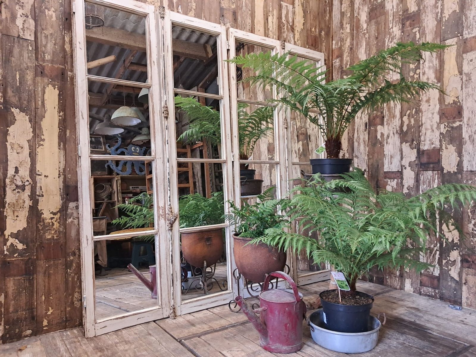 Mirrored Decorative French Windows