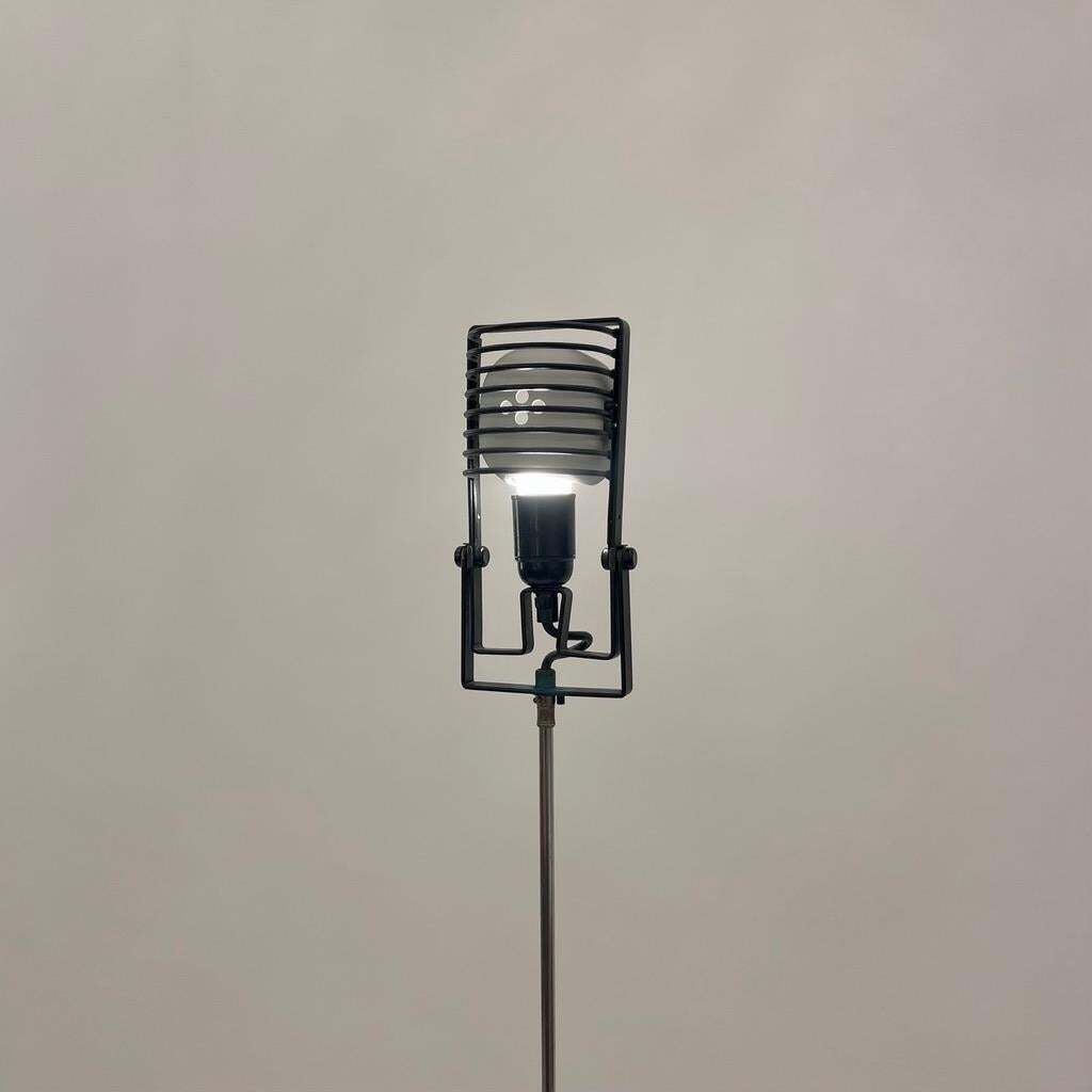 Vintage Adjustable Sintesi Terra Floor Lamp By Ernesto Gismondi, Artemide 1970s photo for sale
