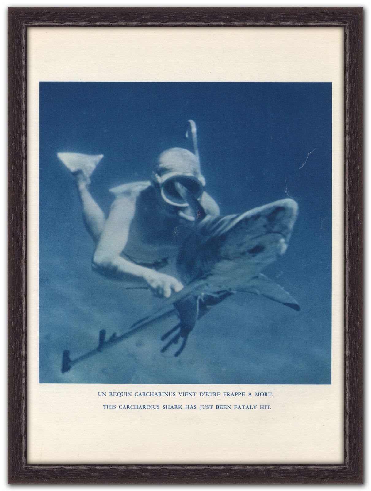 “Killing A Shark”, 1955 French Heliochrome Print On Paper