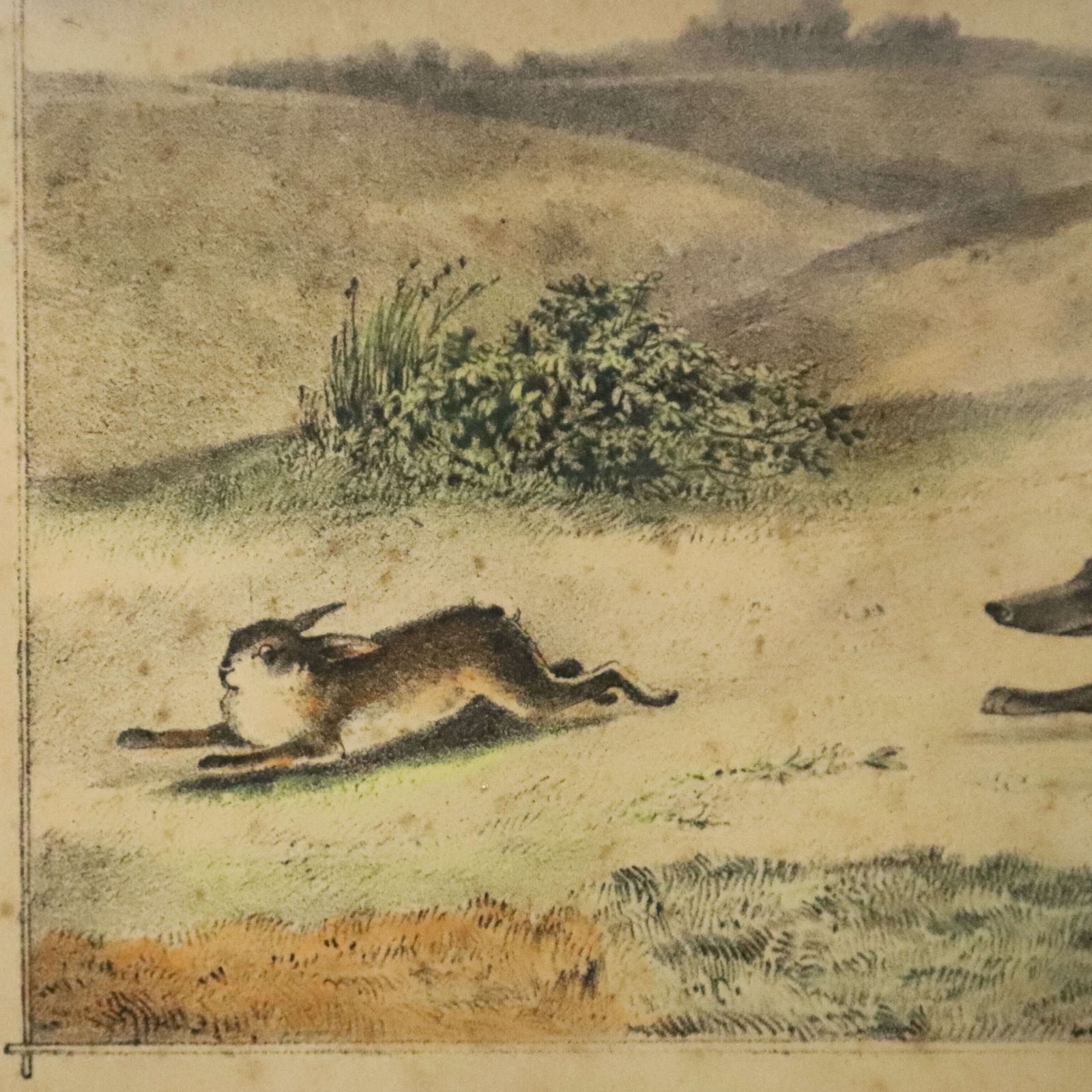 Original 1830s Lithograph — “Hare Coursing” By C. H. Wergall photo Art