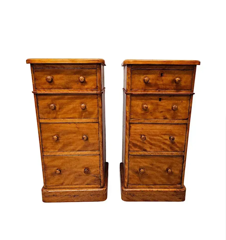 A Fabulous Pair Of 19th Century Bedside Chests