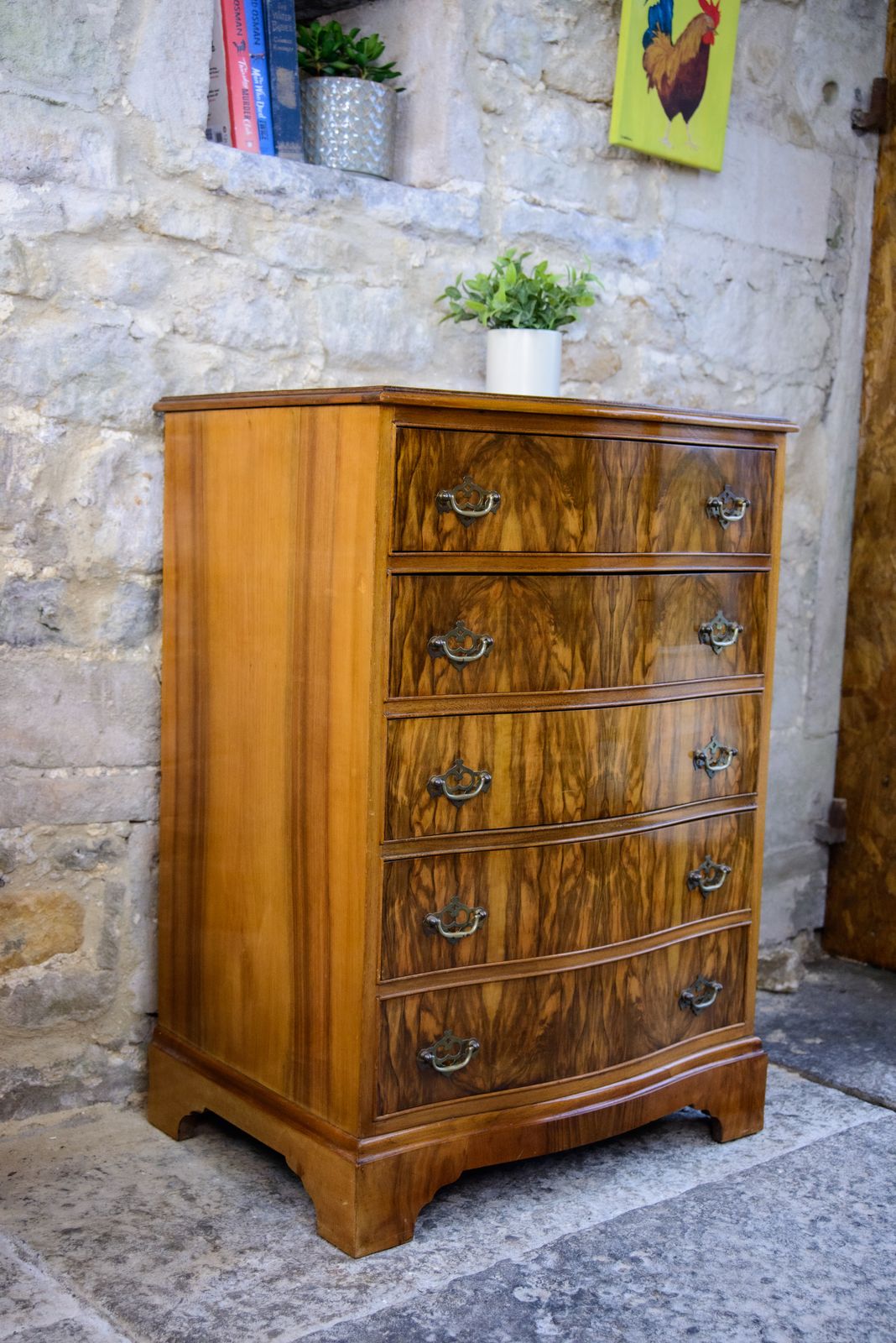 Regency Style Walnut Chest Of Drawers   Serpentine Front photo for sale