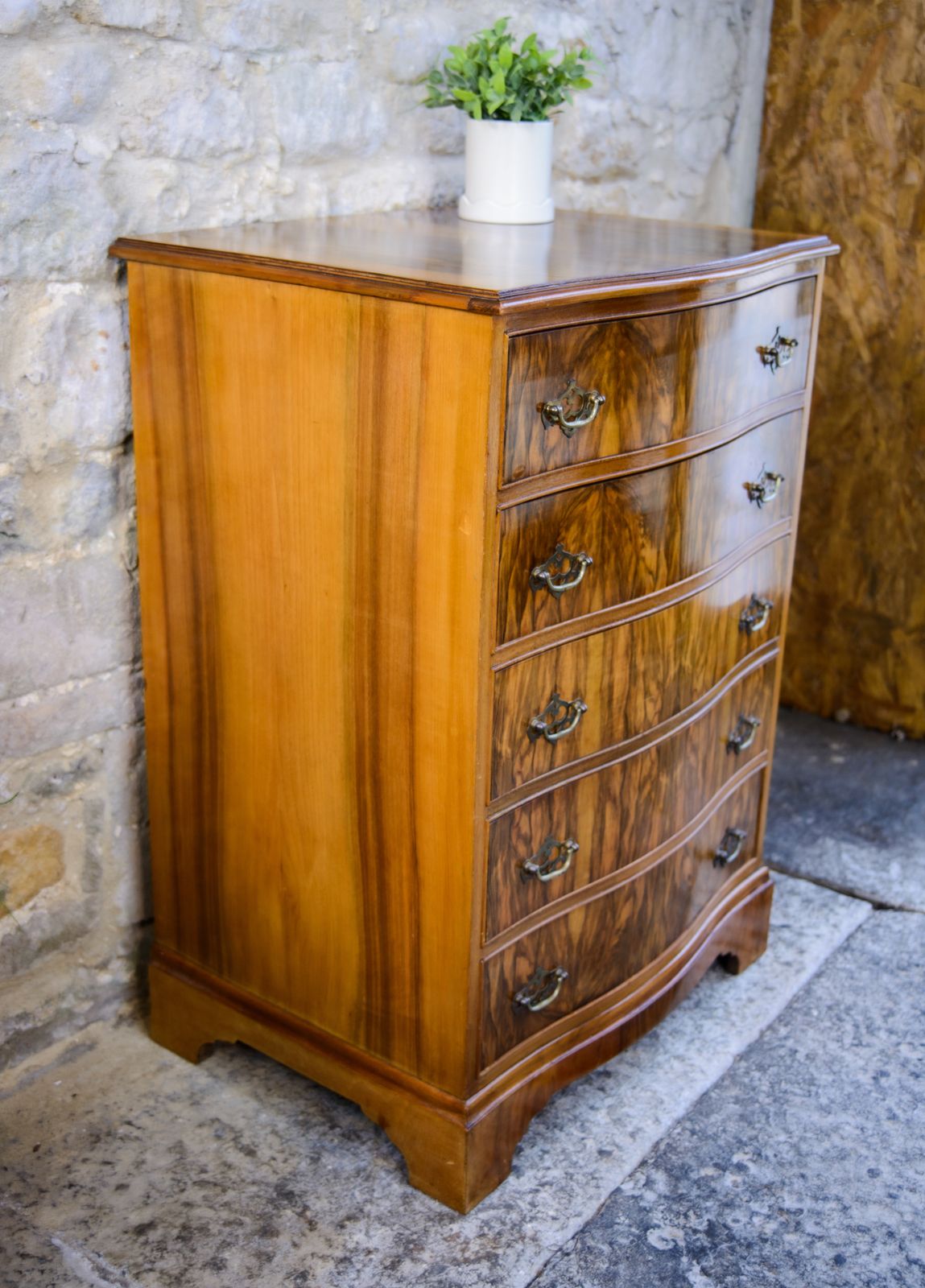 Regency Style Walnut Chest Of Drawers   Serpentine Front photo 550.0