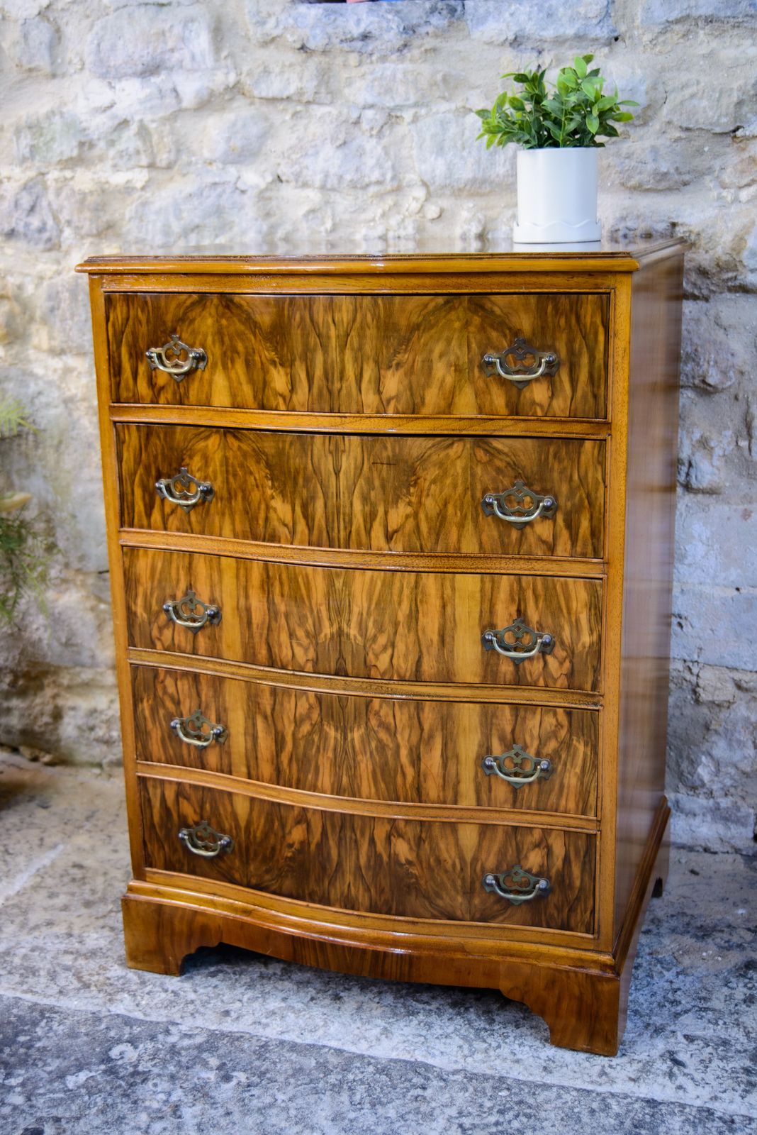 Regency Style Walnut Chest Of Drawers   Serpentine Front photo vintage