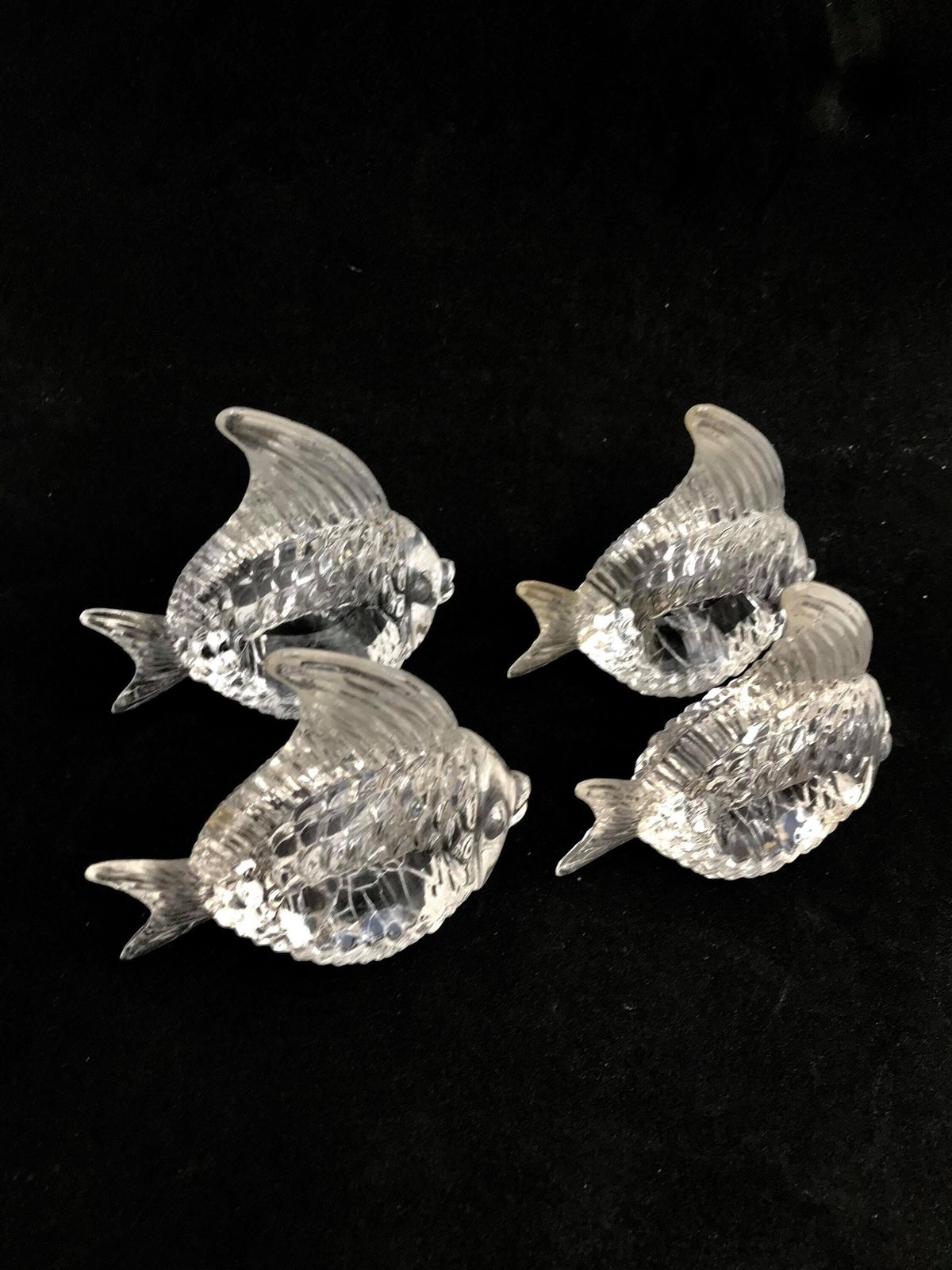 photo furniture Lucite Angel Fish Napkin Rings: Tropical Beach Decor, Set Of 8