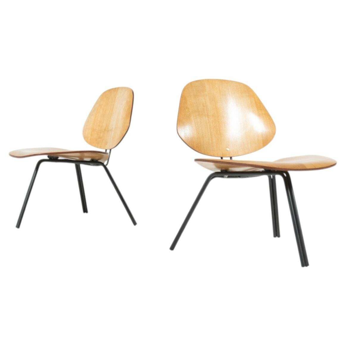 Mid Century Modern P31 Chairs By Osvaldo Borsani, Tecno, 1950s