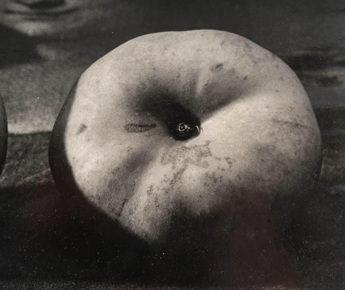Signed Surrealist Photograph By Gene Fenn, With Dedication On The Back. photo for sale