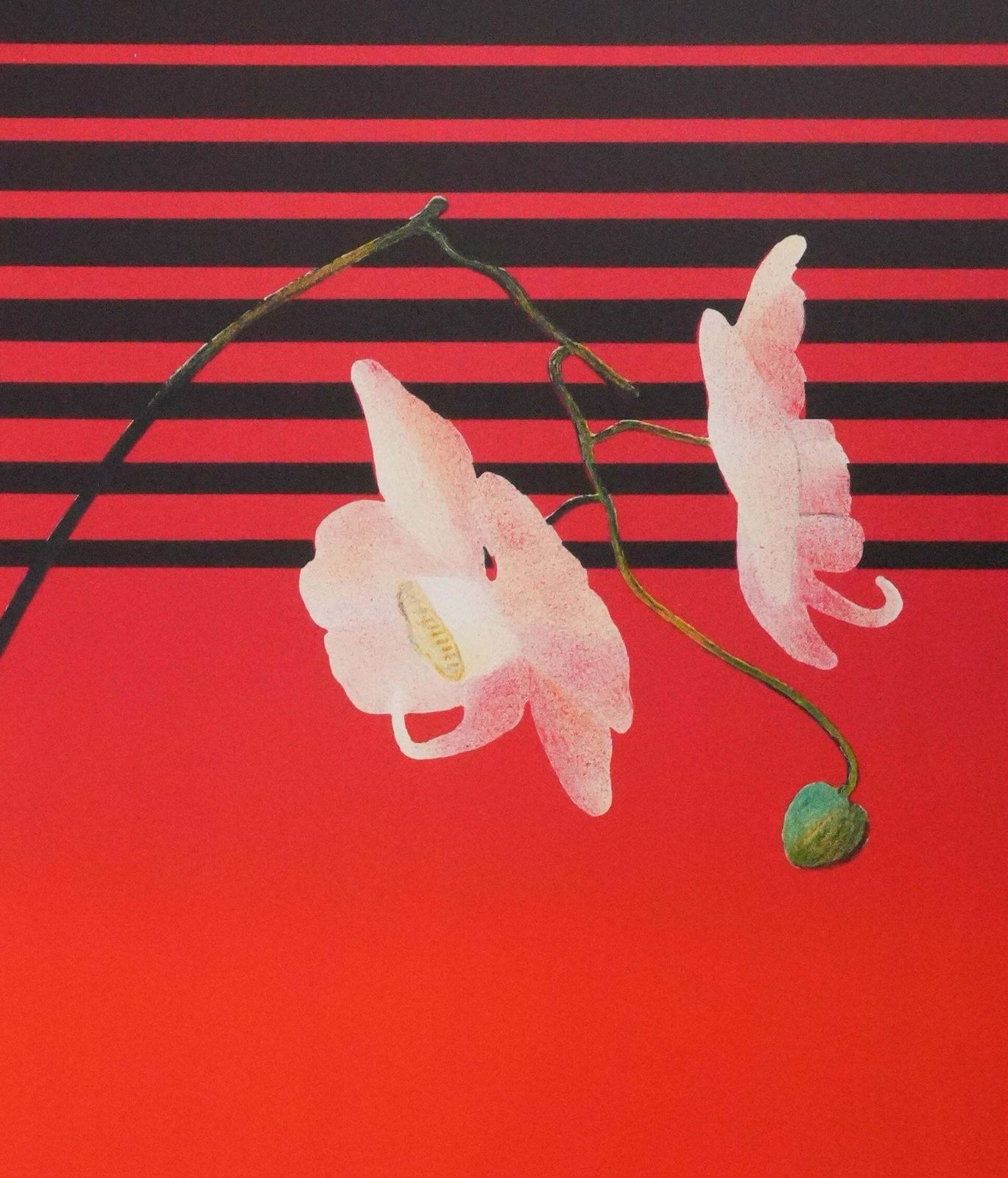 Pierre Garcia Fonsflower Pot With Red Background   Original Lithograph, Signed photo 223.0
