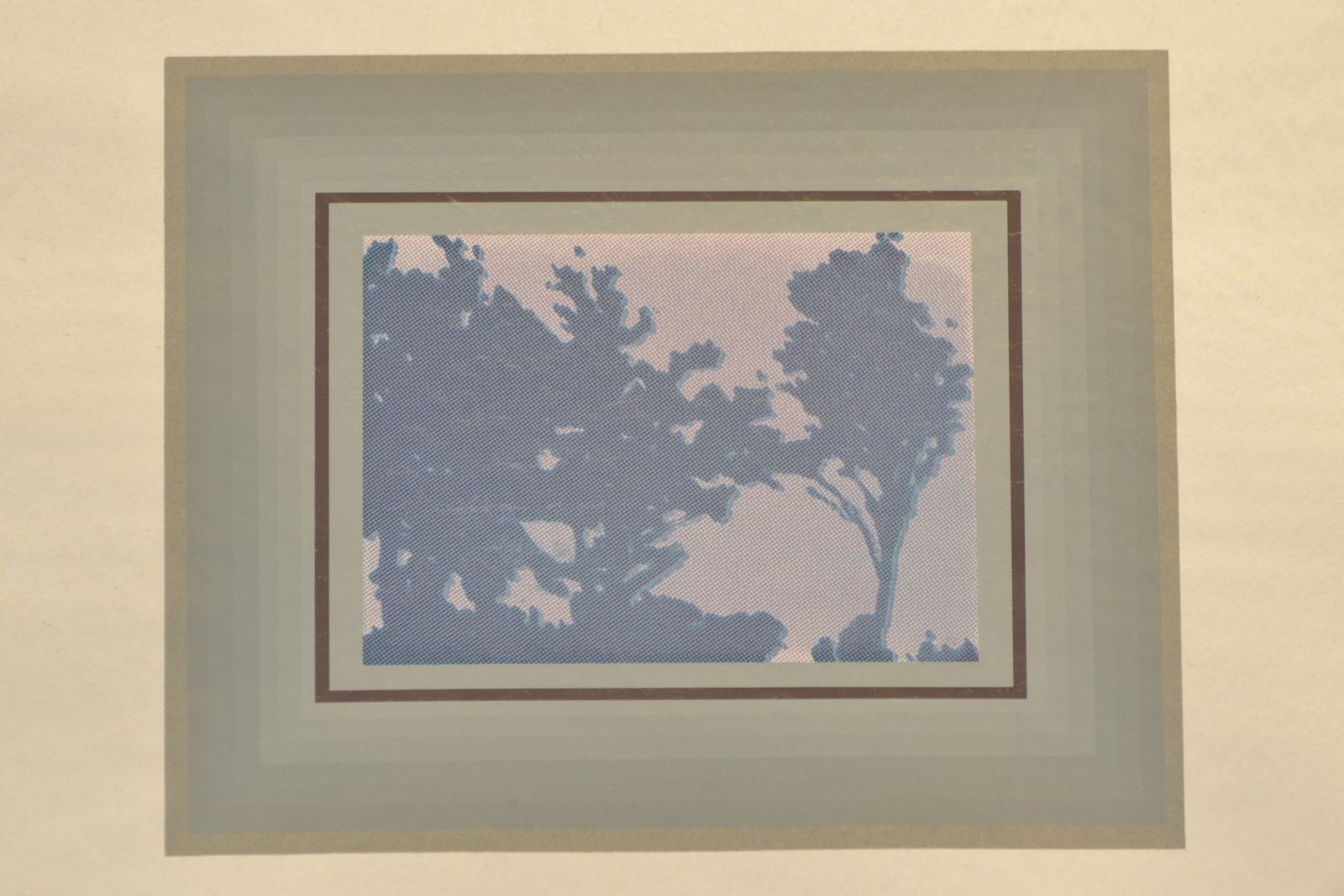 Nature, Signed Torquin '74, 12/25, Silkscreen Print, Framed Under Glass photo 513.0
