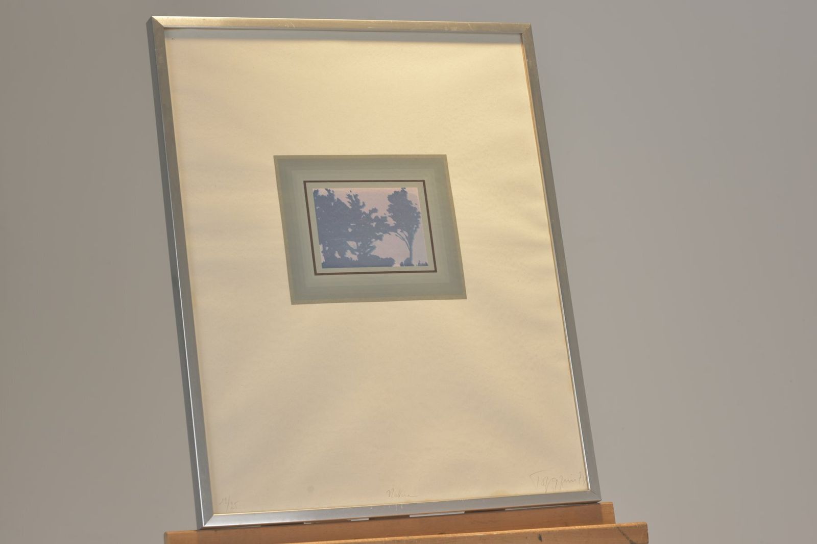 Nature, Signed Torquin '74, 12/25, Silkscreen Print, Framed Under Glass photo vinterior