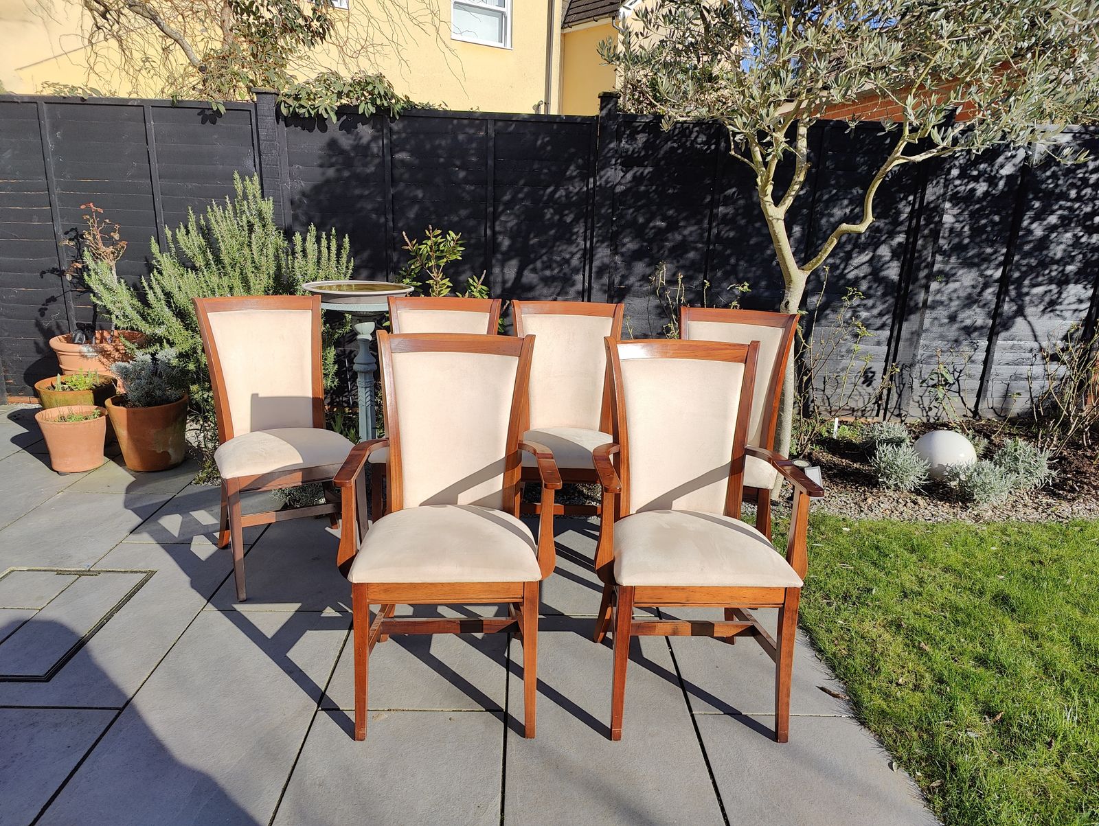 Furniture Willis Gambier Dining Table & Chairs photo