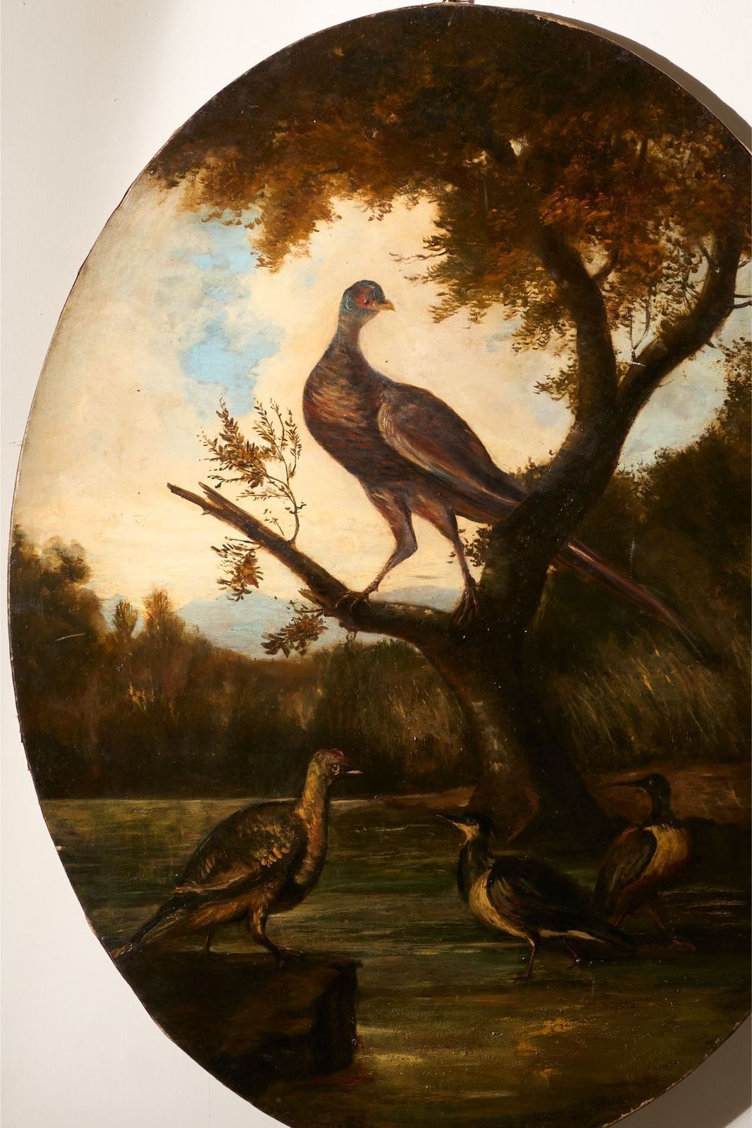 19th Century Very Large Oval Oil On Canvas Painting Of Birds photo Art