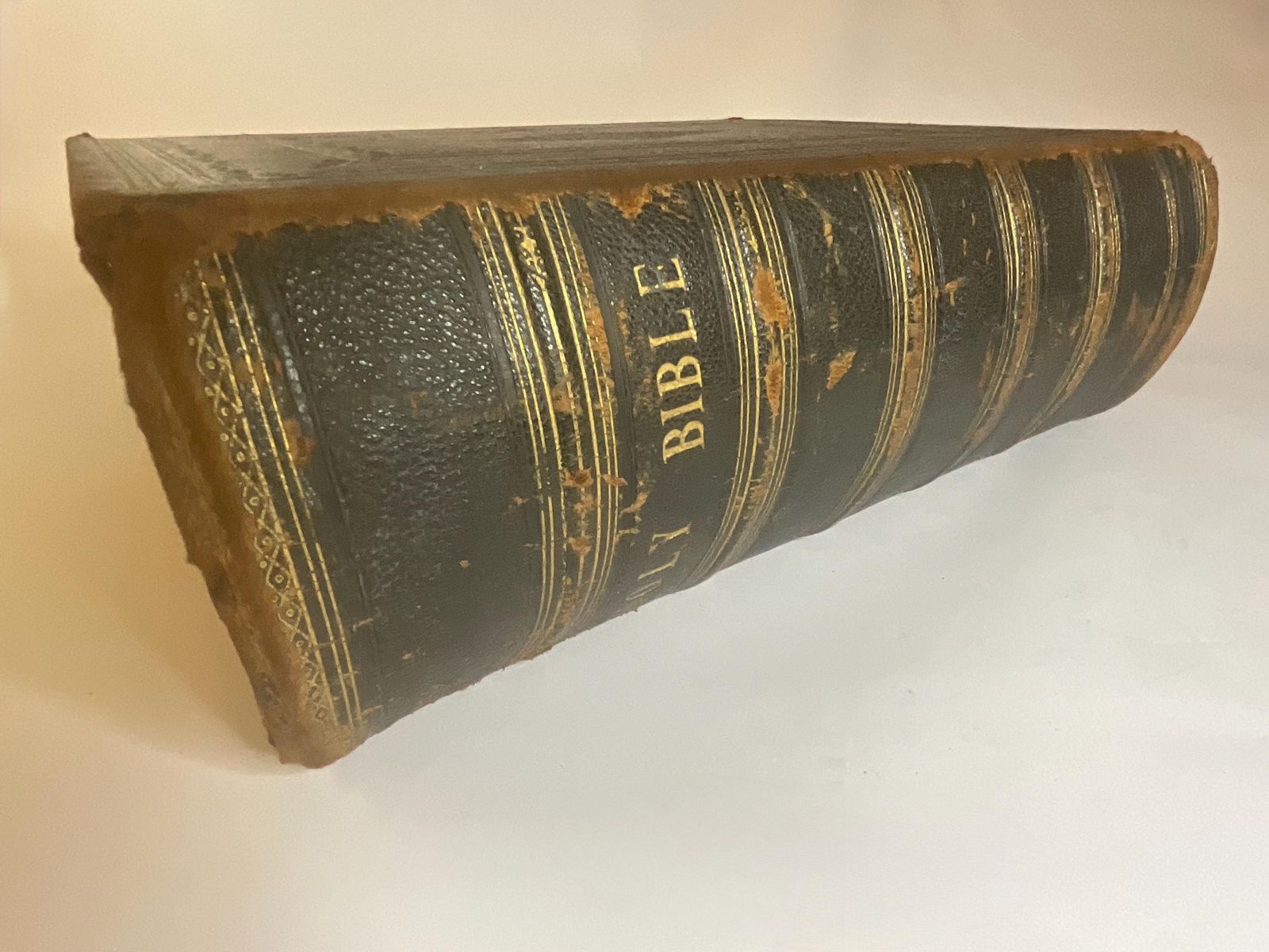 Huge Victorian Family Bible Lavishly Illustrated C1860, Heirloom Folio. photo for sale