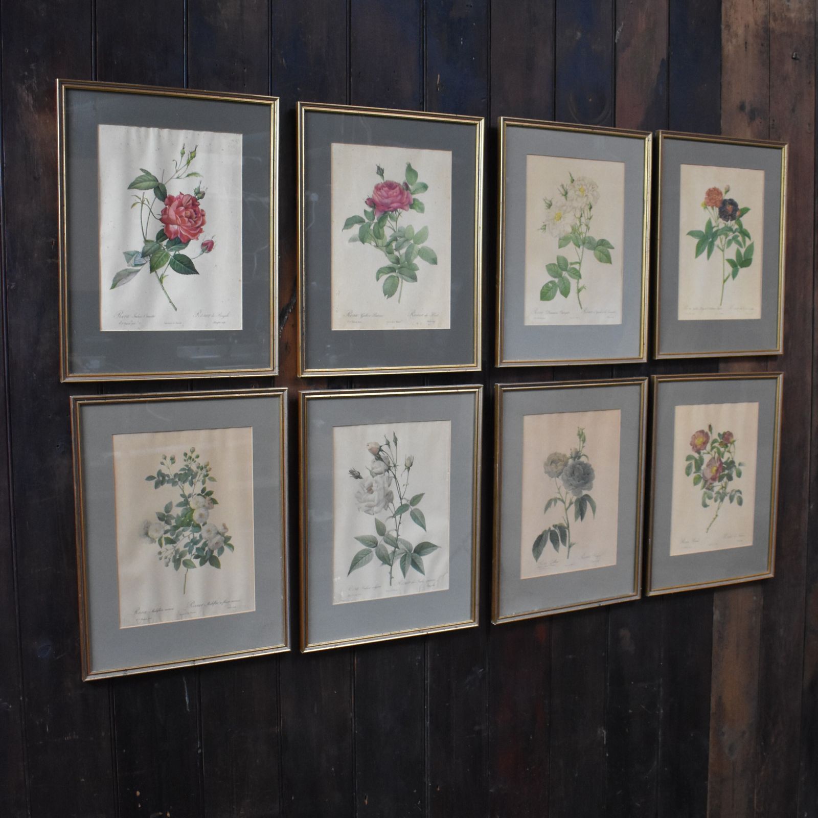Vintage Mid Century Pierre Joseph Redoute Botanicals Rose Prints Set Of 8
