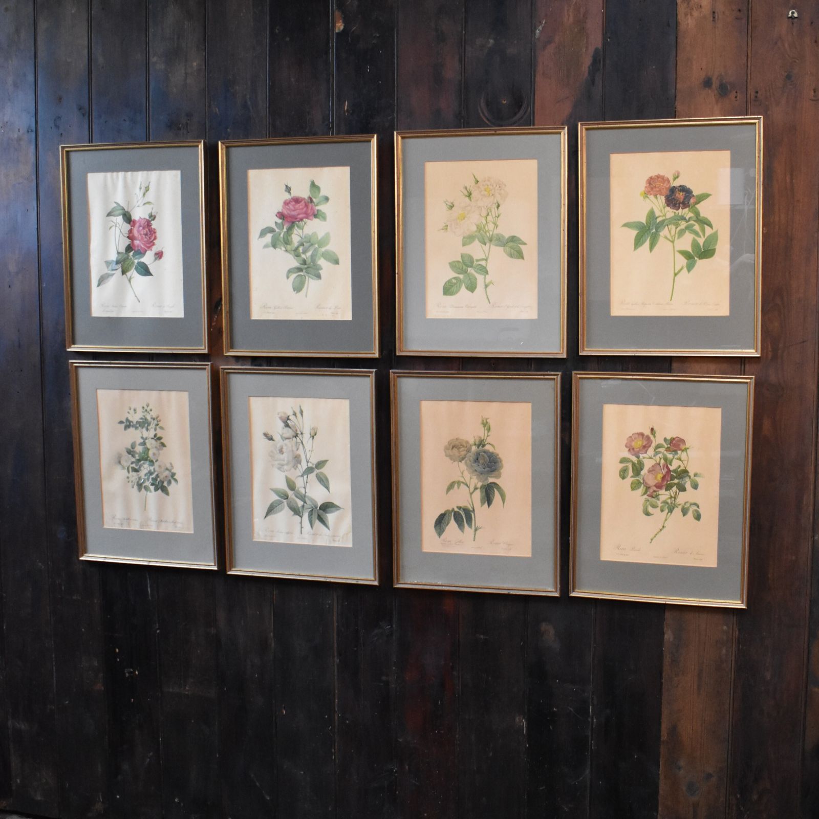 Vintage Mid Century Pierre Joseph Redoute Botanicals Rose Prints Set Of 8 photo vintage
