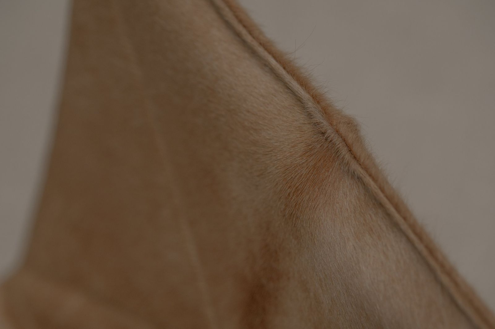 photo vinterior Unique Pk22 Lounge Chair By Poul Kjærholm For Fritz Hansen