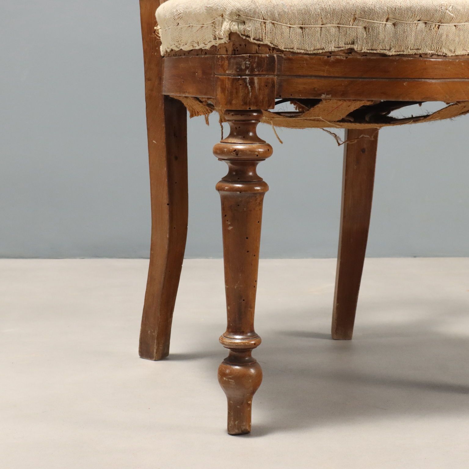Antique Chairs Walnut Horsehair Padding Italy XIX Century photo vinterior
