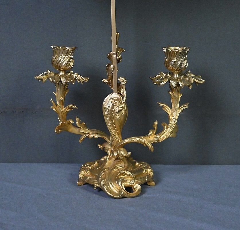 Lighting Gilt Bronze Screen Chandelier, Louis XV Style – Mid 19th Century photo