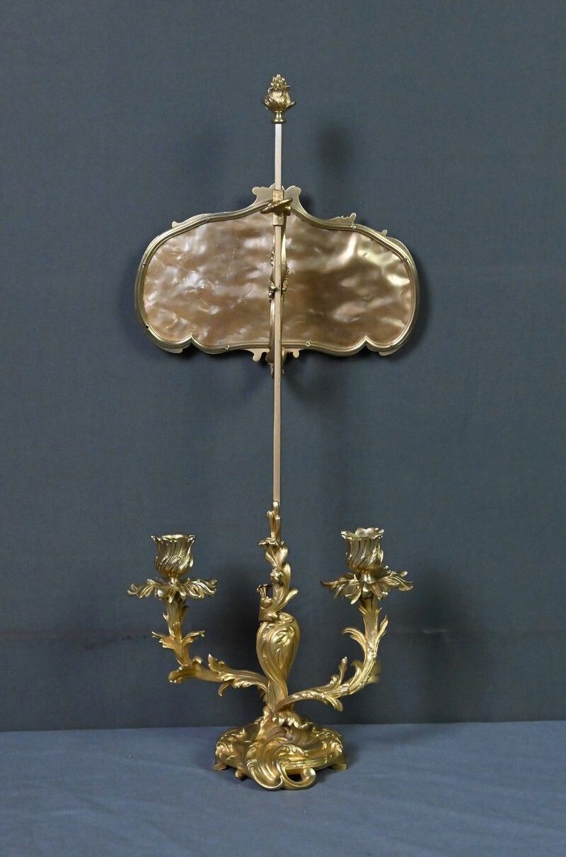 910.0 Gilt Bronze Screen Chandelier, Louis XV Style – Mid 19th Century photo
