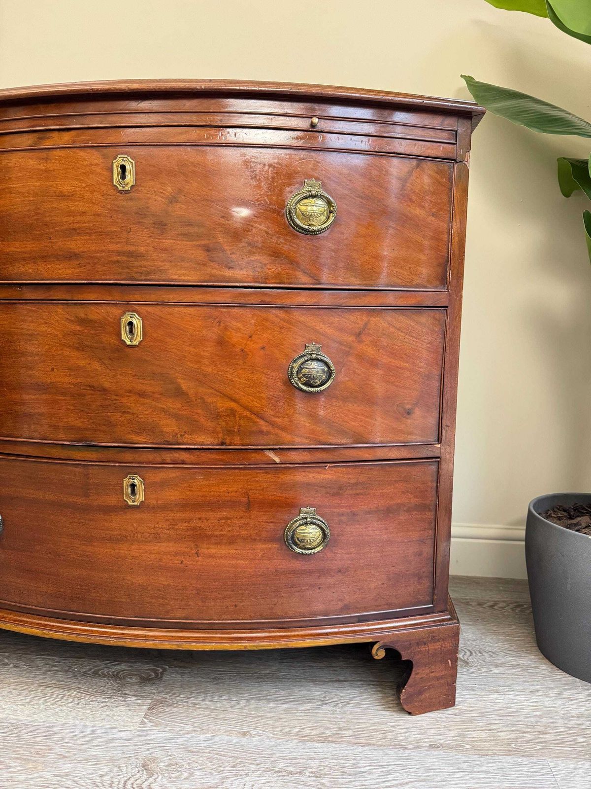 Antique Bow Front Mahogany Chest Of Drawers: Solid Wood 3 Drawer Dresser photo Furniture