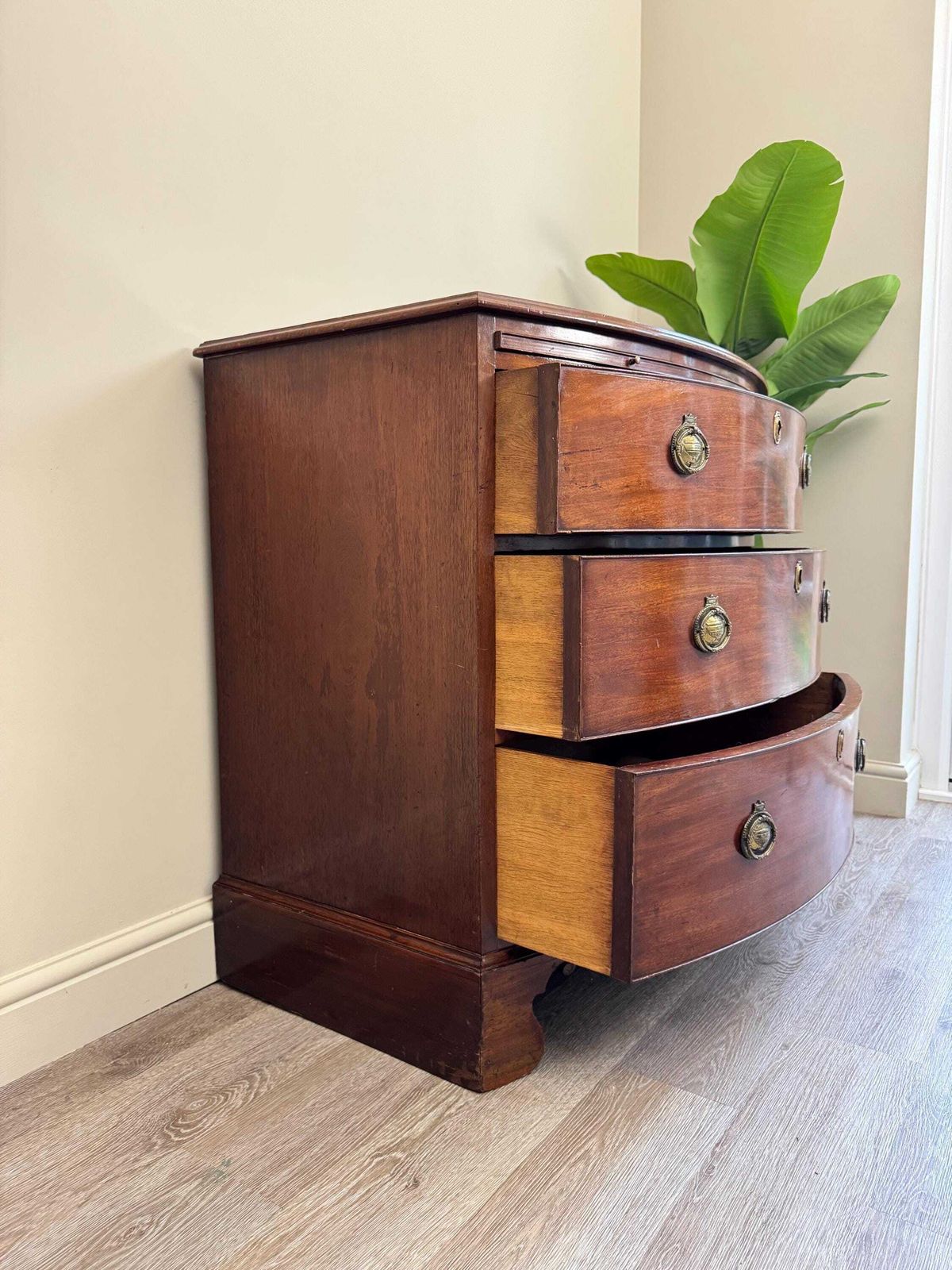 Antique Bow Front Mahogany Chest Of Drawers: Solid Wood 3 Drawer Dresser photo 450.0
