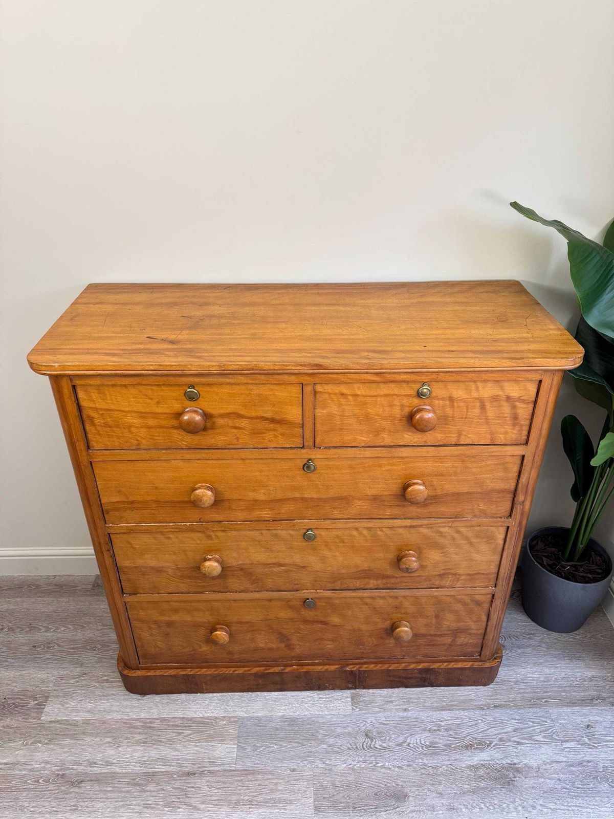 Antique Chest Of Drawers Solid Wood Vintage Furniture Satinwood Blonde photo for sale