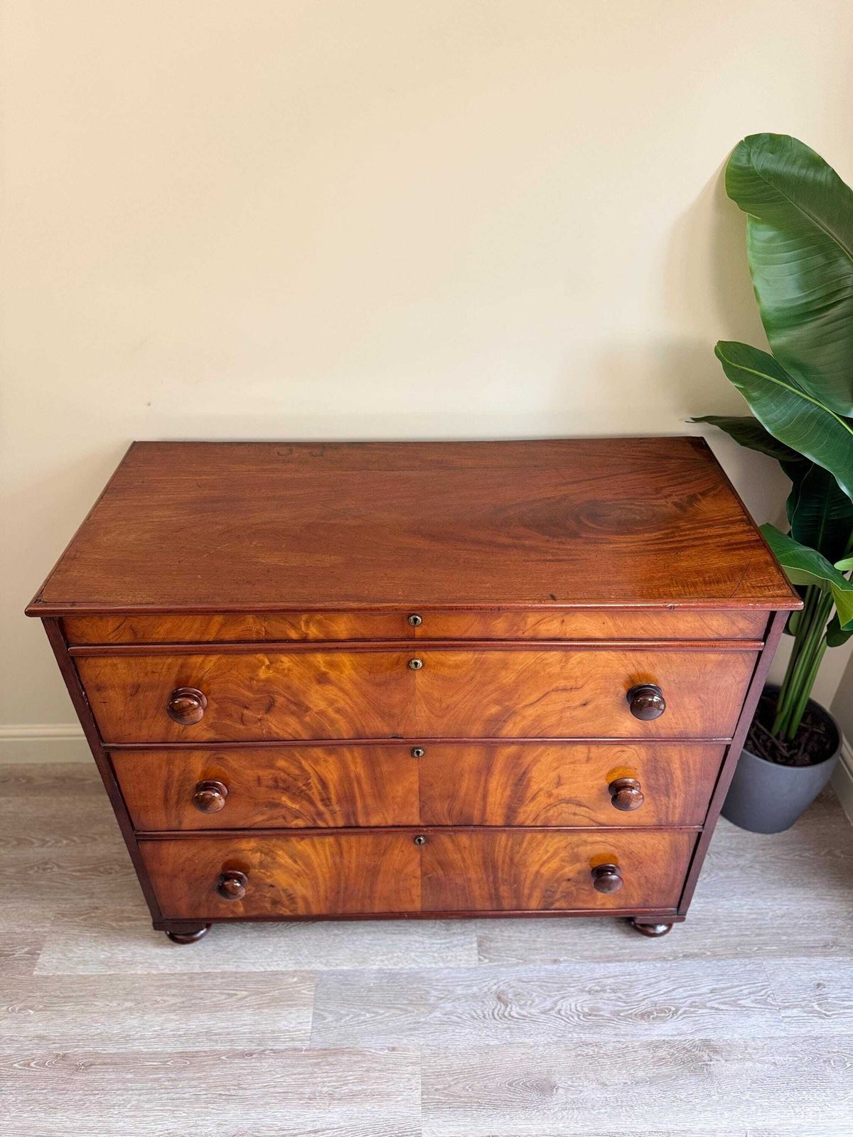 Antique Georgian Flame Mahogany Solid Wood Chest Of Drawers 3 Drawer Dresser photo furniture