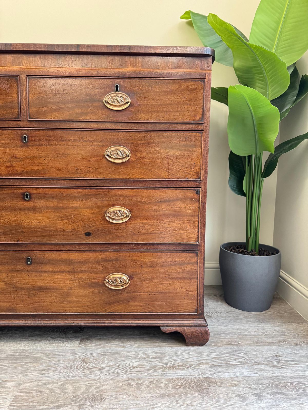 photo furniture Antique Georgian Solid Wood Extra Large Chest Of Drawers